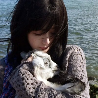 赛尔号