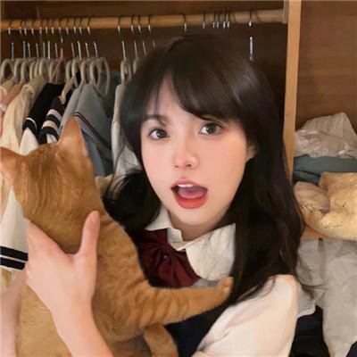 冰狗任务